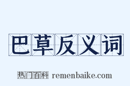 巴草反义词是什么意思的图片